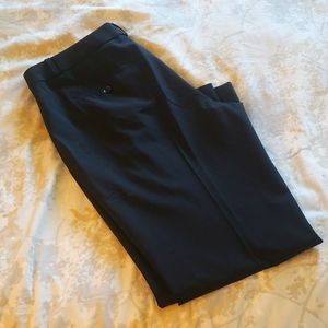 Banana Republic The Avery size 10 slacks